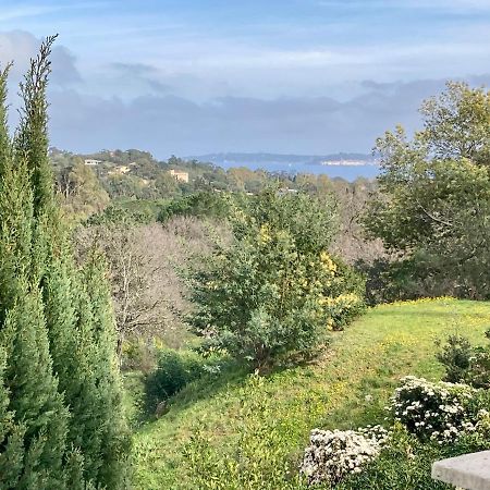 Les Restanques Maison 14 Chenes Grimaud Zewnętrze zdjęcie