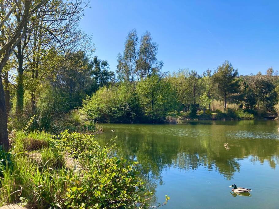 Les Restanques Maison 14 Chenes Grimaud Zewnętrze zdjęcie