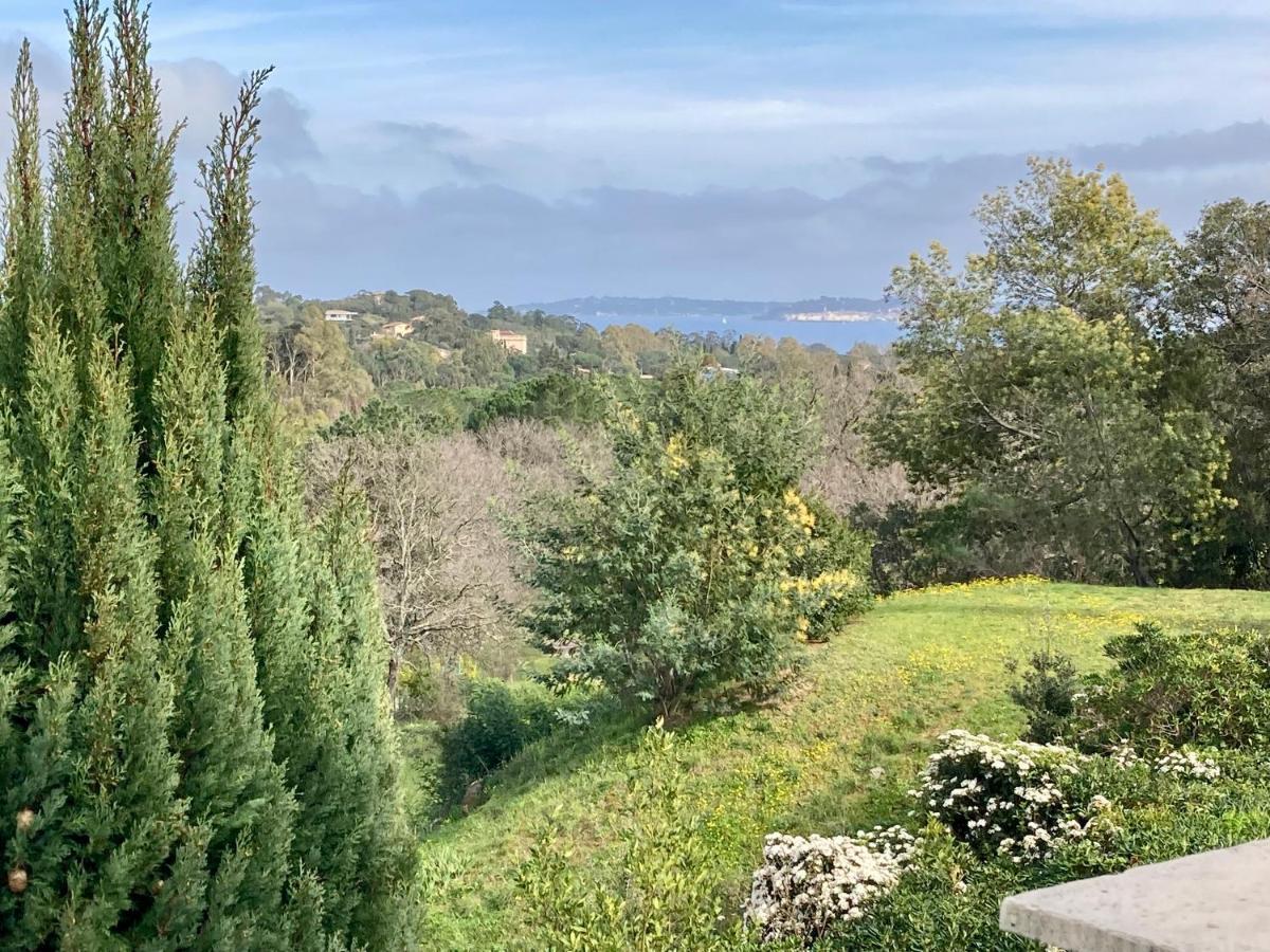 Les Restanques Maison 14 Chenes Grimaud Zewnętrze zdjęcie
